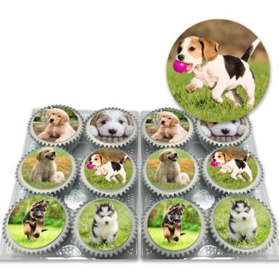Cute Puppy Cupcakes Delivered
